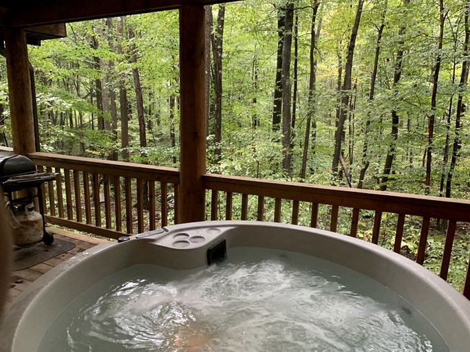 Cabins (United States of America, Bruceton Mills, West Virginia)