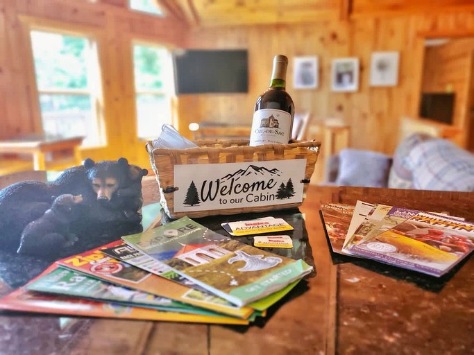 Charming Pet-Friendly Cabin Oasis near Chattahoochee River in Georgia