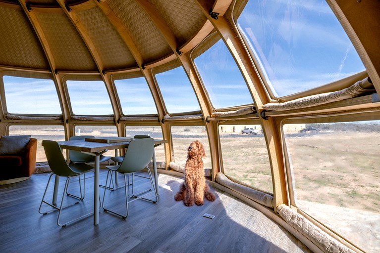 Pods (United States of America, Fredericksburg, Texas)