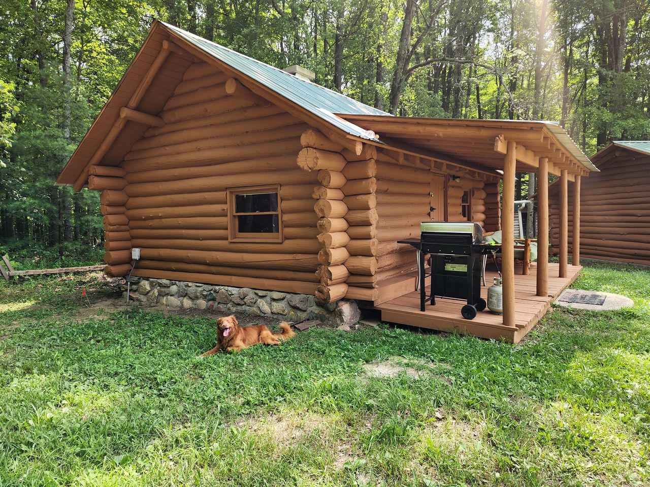 Secluded Rustic Cabins with Private Pond & Trails near ORV Routes in White Cloud, Michigan