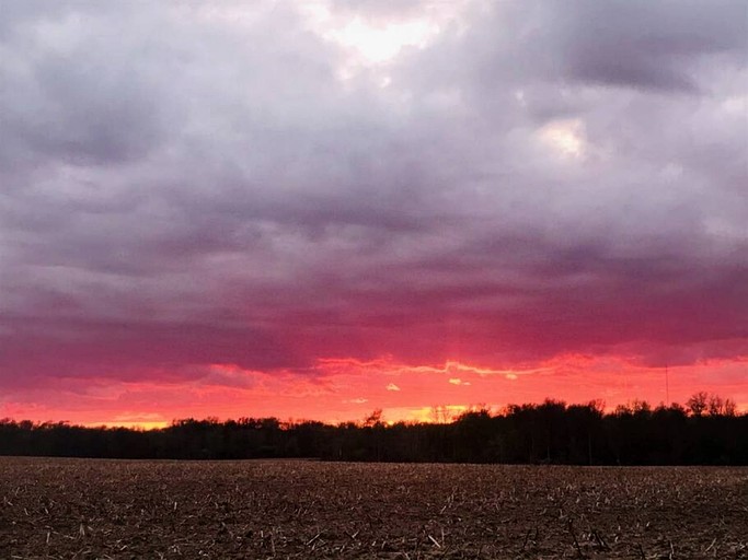 Cottages (Canada, Leamington, Ontario)
