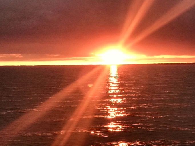 Cottages (Canada, Leamington, Ontario)