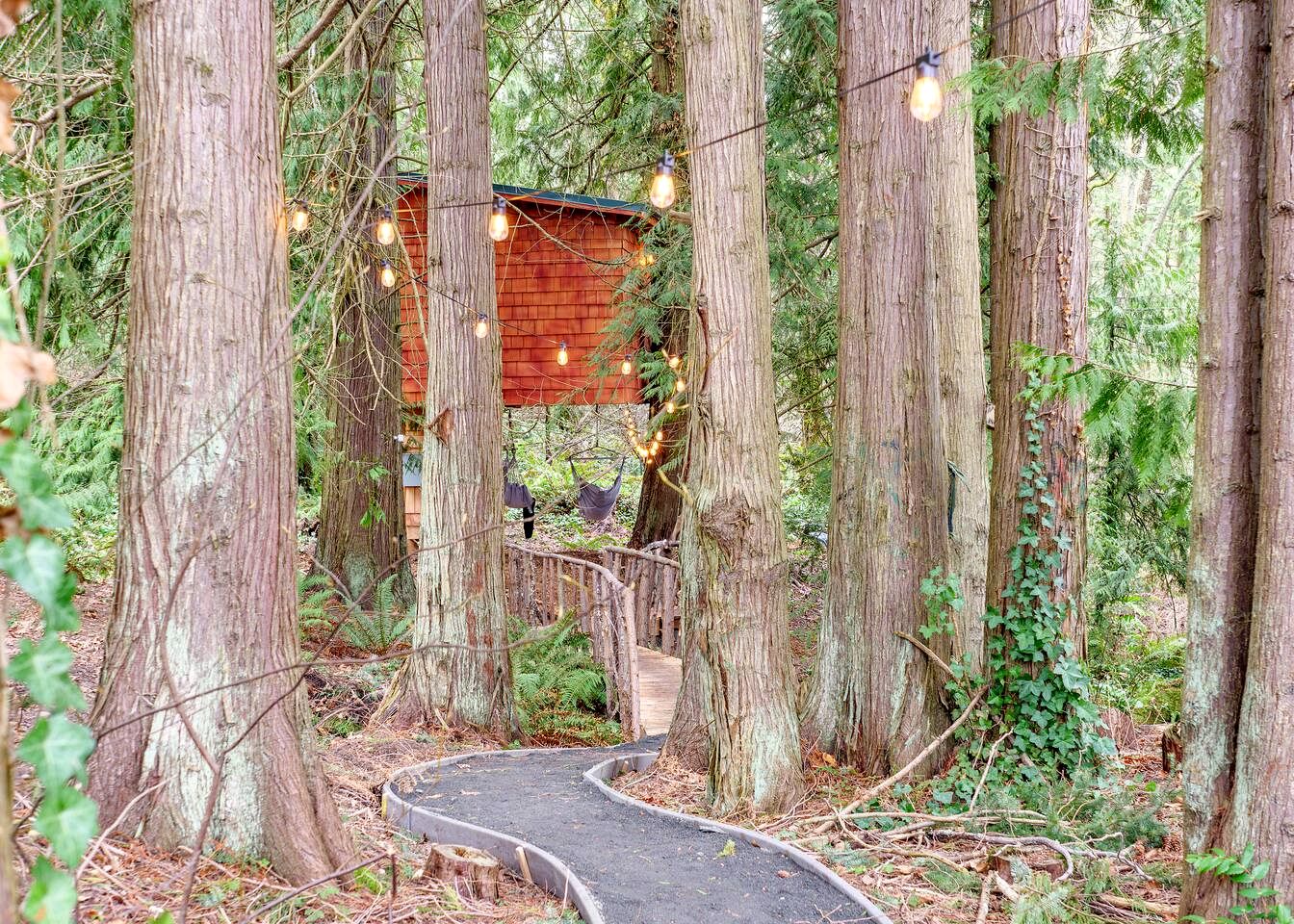 Relaxing Tree House in Sequim, Washington, Perfect for a Glamping Getaway to Olympic National Park