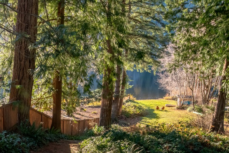 Peaceful Lakefront Retreat with Sauna Near Bellingham & Mount Vernon in Sedro-Woolley, Washington