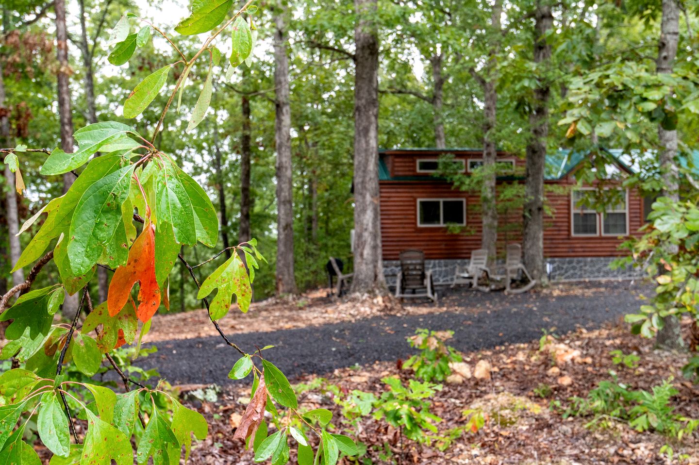 Private Romantic Cabin with Mountain Views and Covered Porch in Arkansas
