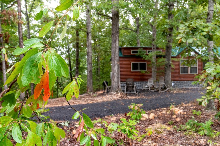 Cabins (United States of America, Marshall, Arkansas)