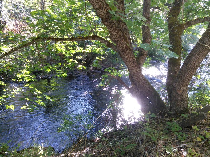 Caravans (Klamath River, California, United States)