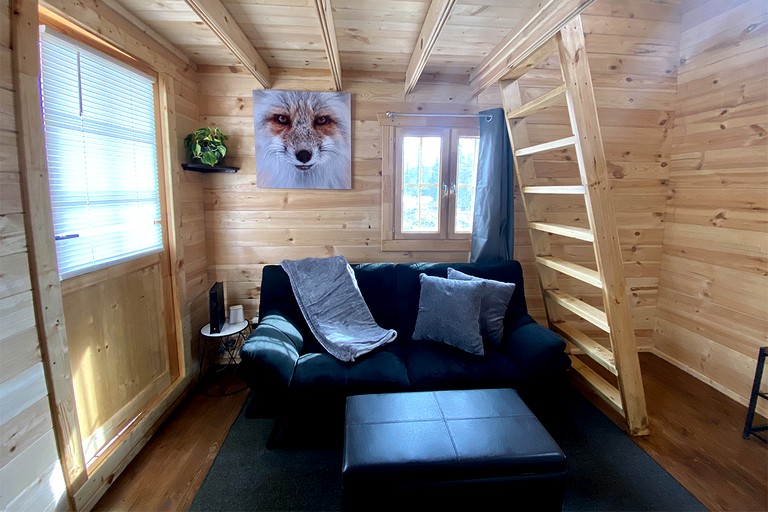Cabins (United States of America, Cantwell, Alaska)