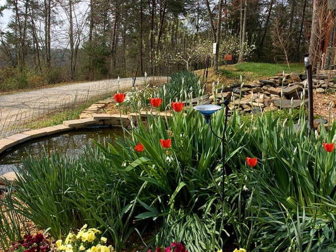Cabins (United States of America, Blue Ridge, Georgia)