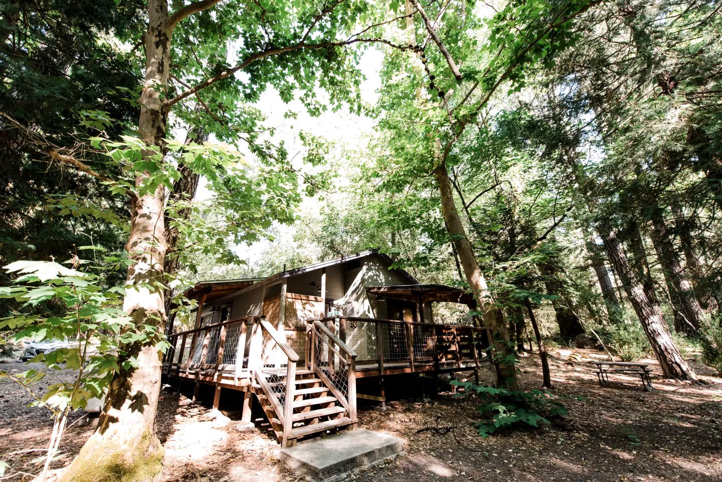 Cabins (Cobb, California, United States)