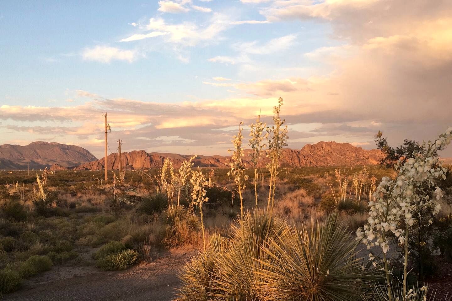 Unique Yurt Accommodation for a Romantic Getaway in El Paso, Texas