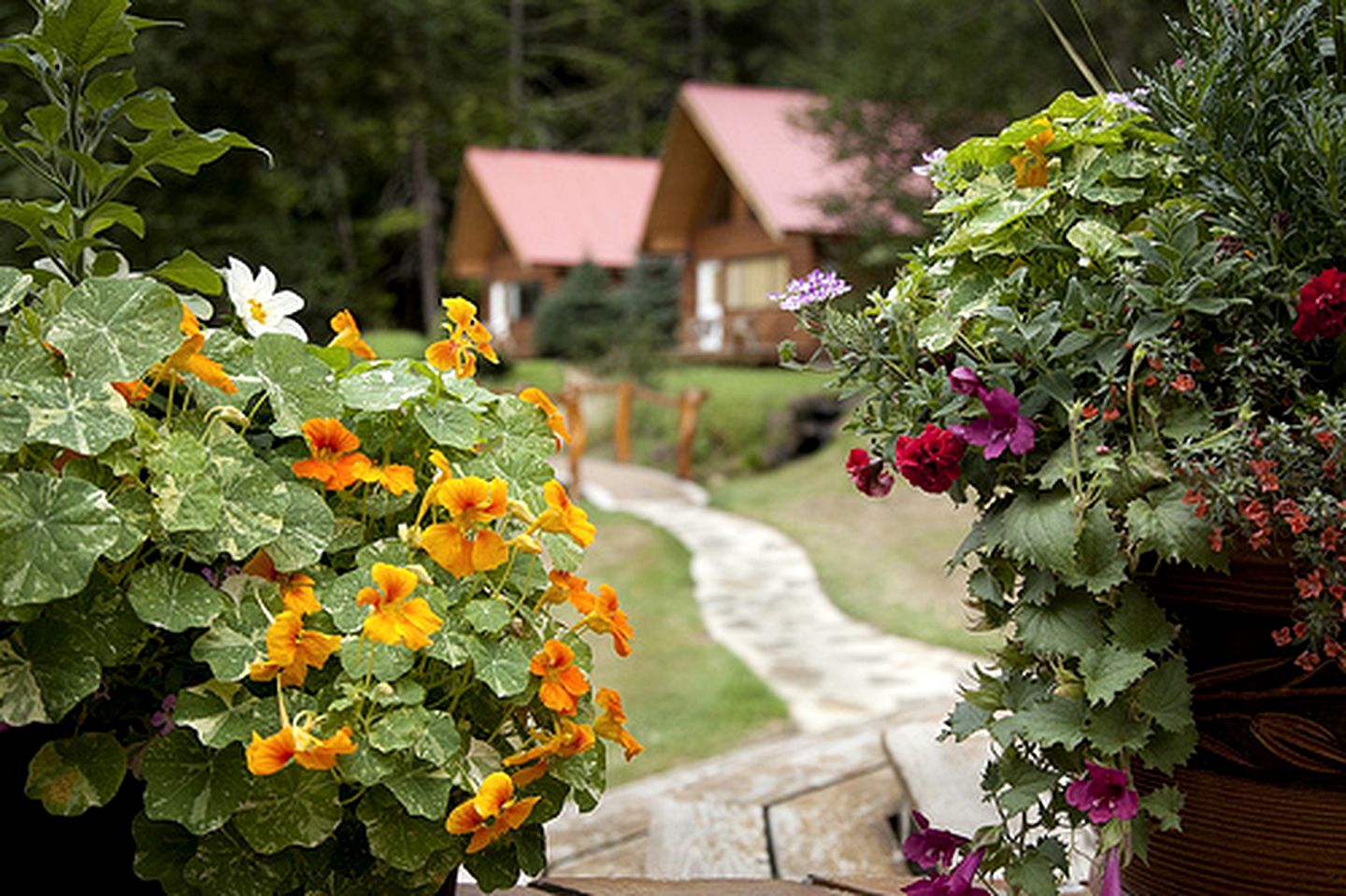 Cabins (Stuie, British Columbia, Canada)