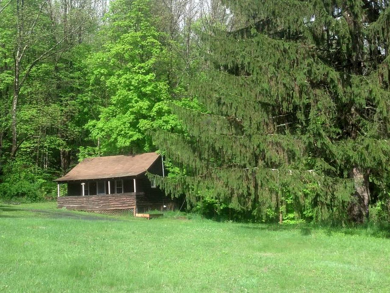 Cabins (Shandaken, New York, United States)