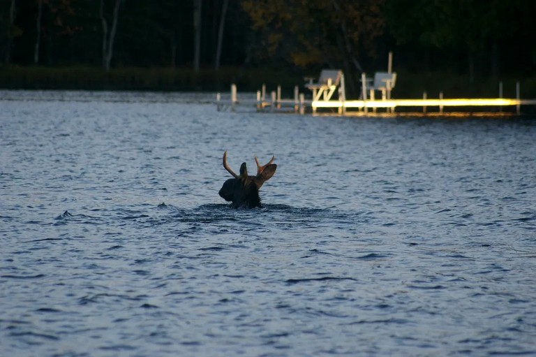 Lakefront Cabin on Oxbow Lake in Wisconsin's Last Wilderness, Presque Isle | Cabins (Presque Isle, Wisconsin, United States of America)