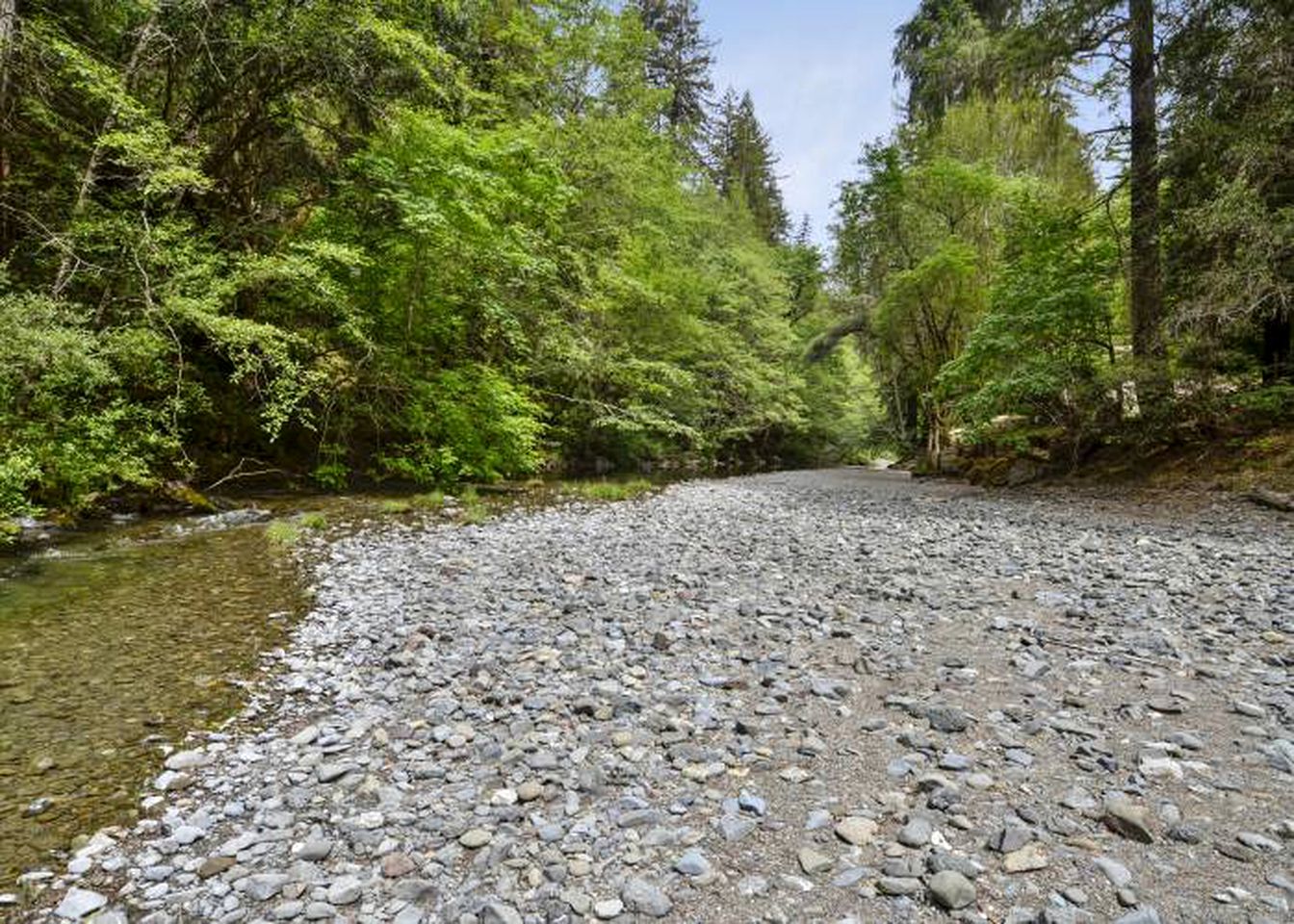 Cabins (Cazadero, California, United States)