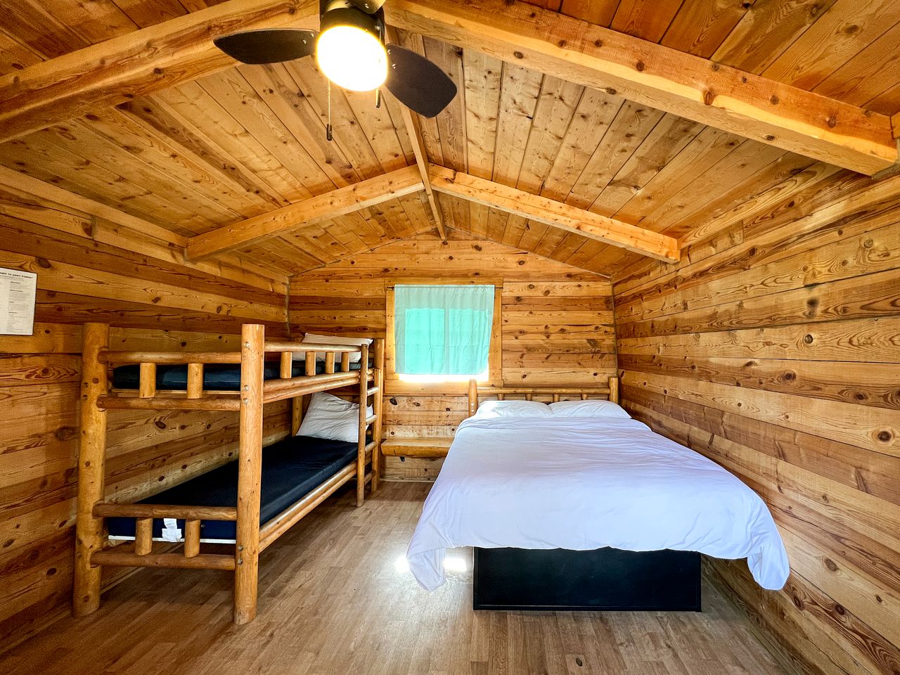 Cabins (United States of America, Buena Vista, Colorado)