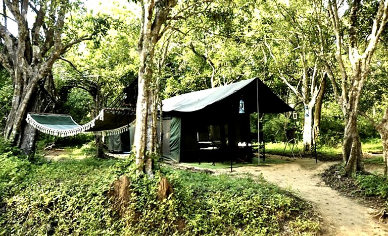 Safari Tents (Tissamaharama, Southern Province, Sri Lanka)