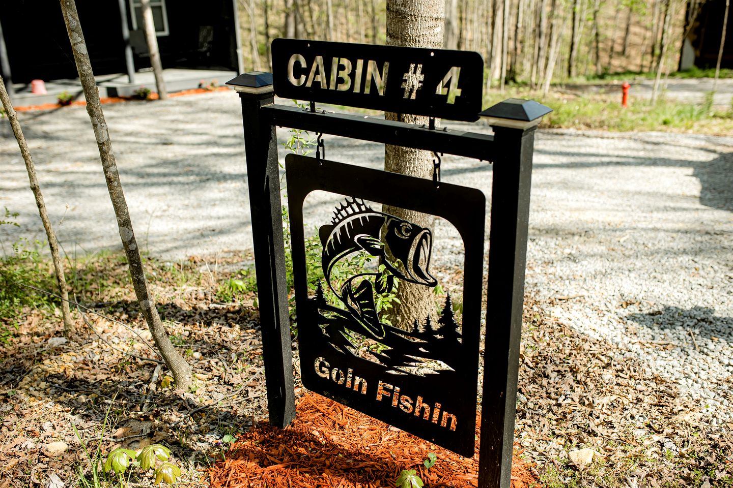 Cabins (United States of America, Campbellsville, Kentucky)