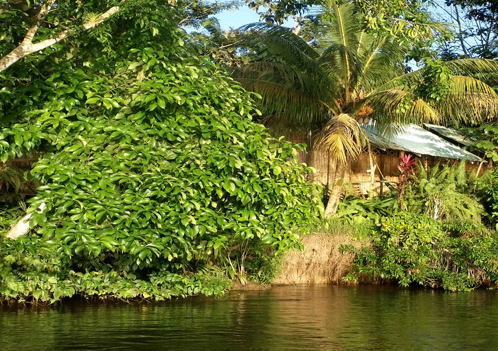 Huts (El Castillo, Río San Juan, Nicaragua)