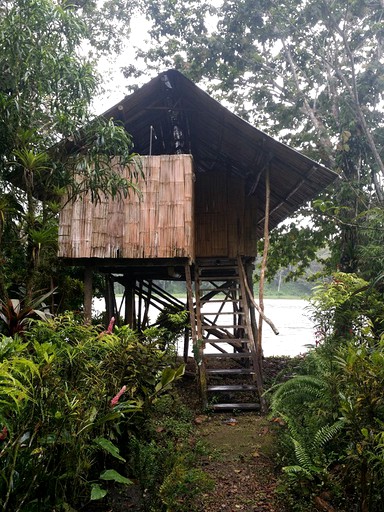 Tree Houses (El Castillo, Río San Juan, Nicaragua)