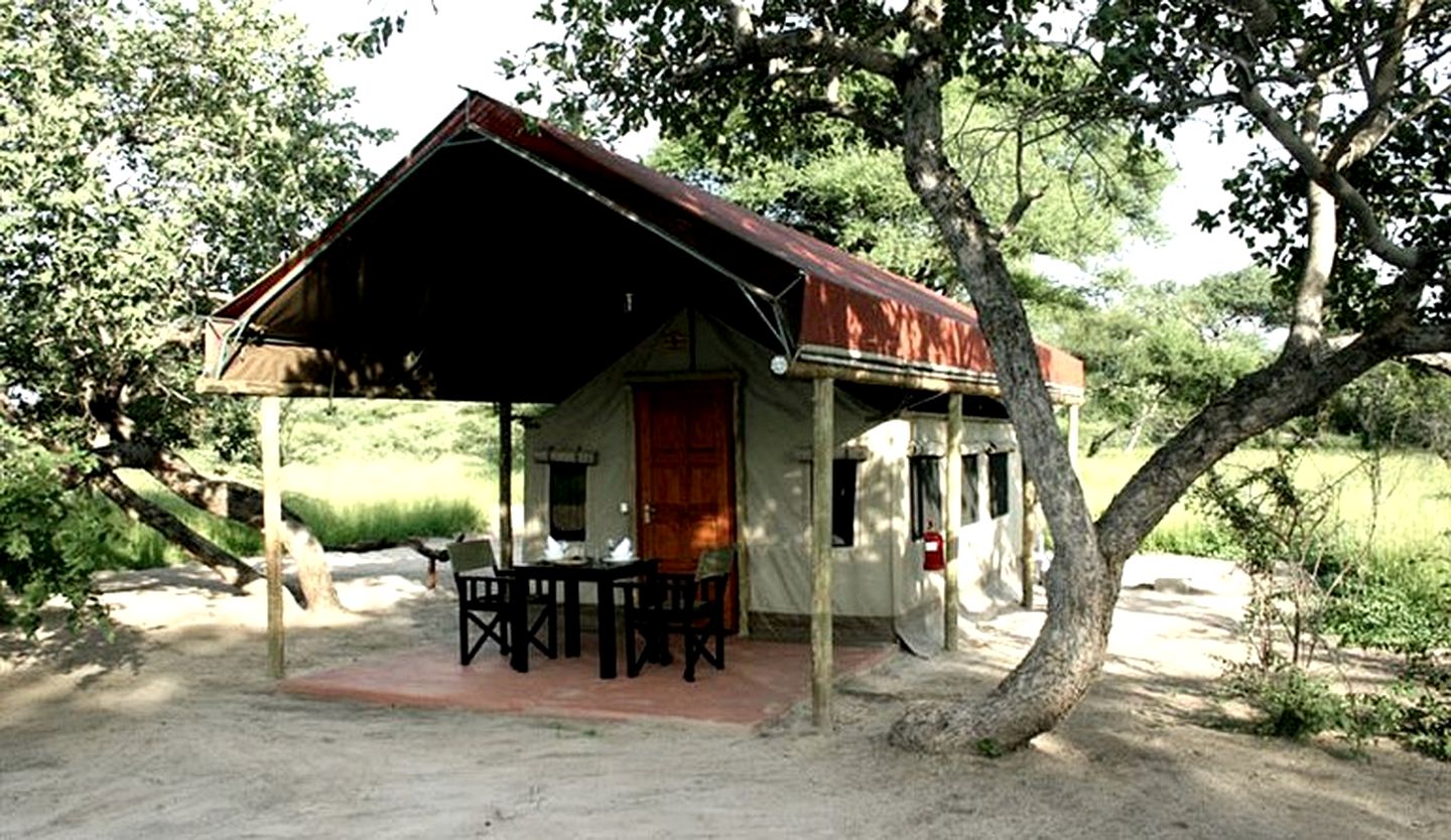 Safari Tents Pitched on Nature Bush Camp Near Okavango Delta, Botswana