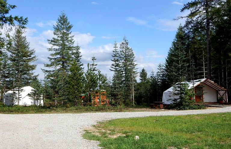Spacious Safari Tent with Forest Views for a Getaway near Seattle, Washington | Safari Tents (Belfair, Washington, United States of America)
