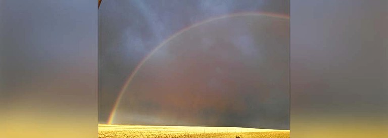 Cabins (Pryor, Montana, United States)