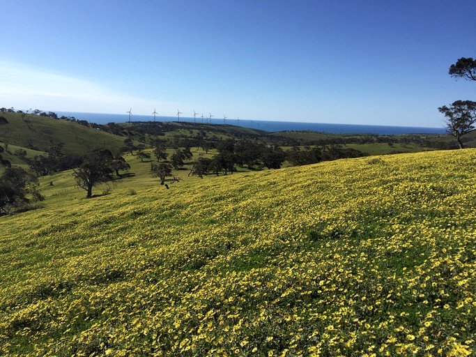 Vacation Rentals (Cape Jervis, South Australia, Australia)