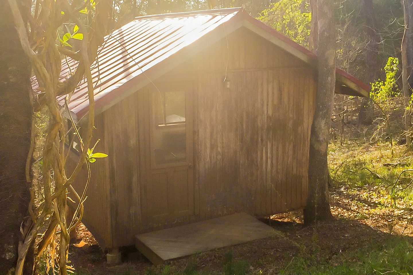 Cabins (Madison, Virginia, United States)