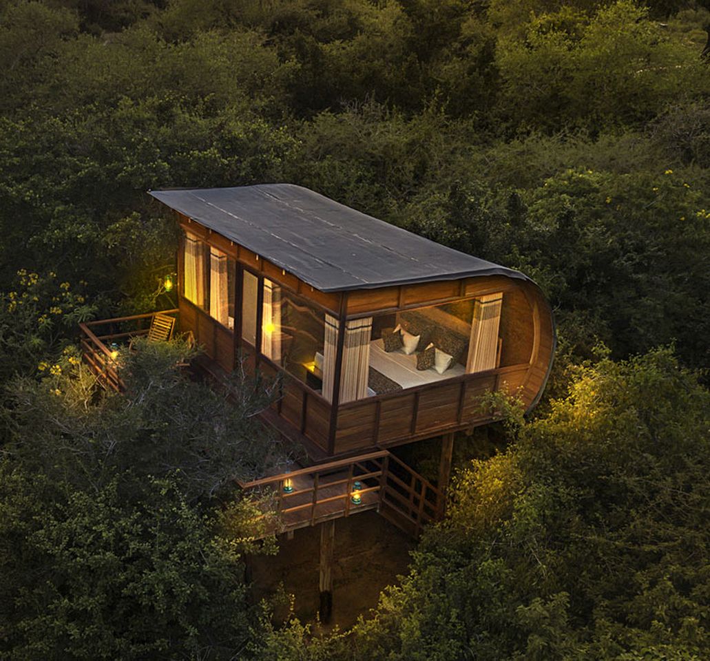 Luxury Treehouse Cabin Retreat Surrounded by Green Forest near Kirinda, Sri Lanka | Cabins (Palatupana, Southern Province, Sri Lanka)