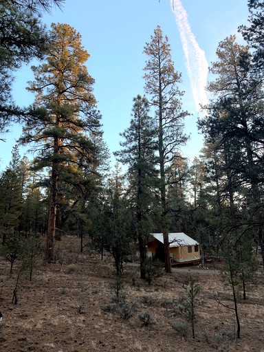 Safari Tents (United States of America, Grand Canyon Village, Arizona)