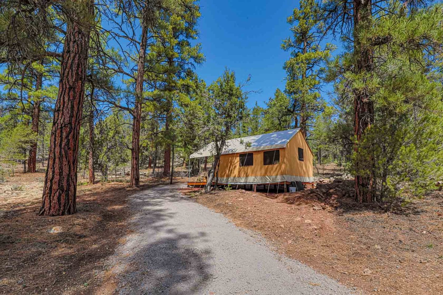 Spacious and Pet-Friendly Safari Tent near the South Rim, Perfect for a Grand Canyon Glamping Getaway