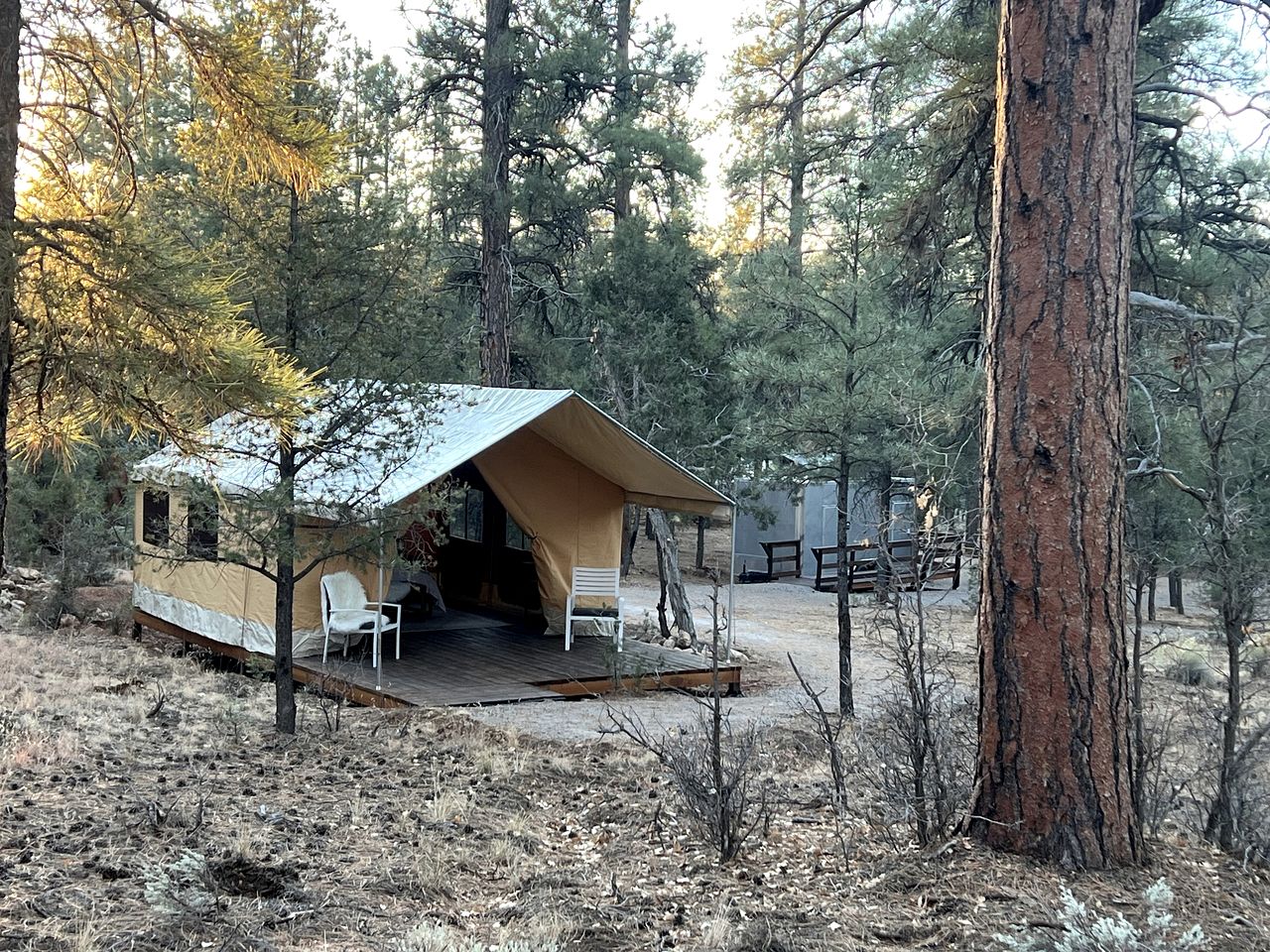 Spacious and Pet-Friendly Safari Tent near the South Rim, Perfect for a Grand Canyon Glamping Getaway