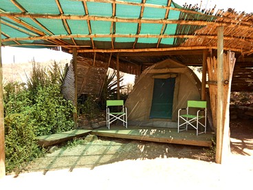 Safari Tents (Oudtshoorn, Western Cape, South Africa)