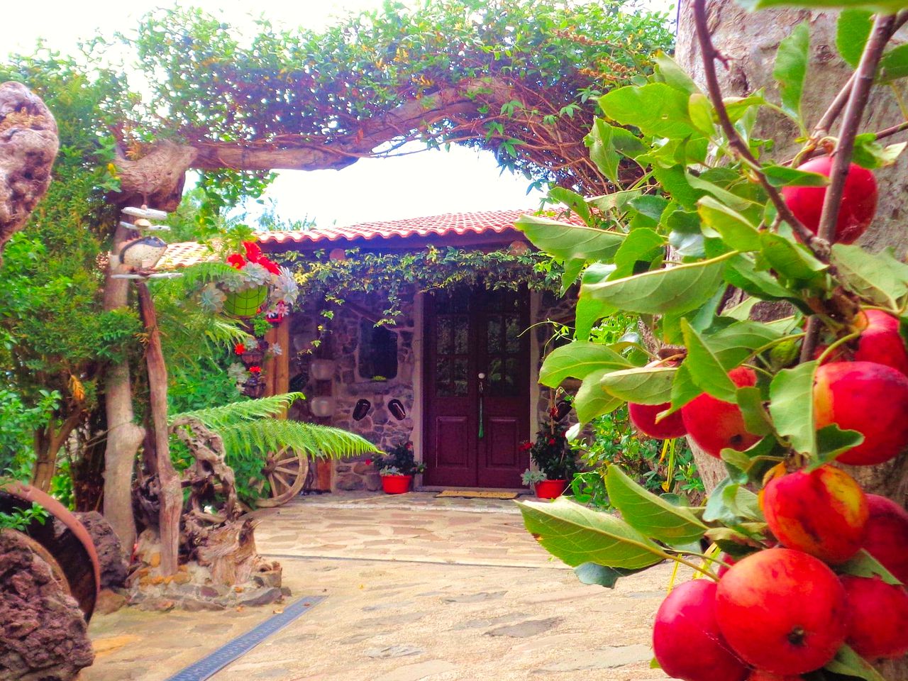 Cottages (Calheta, Madeira, Portugal)