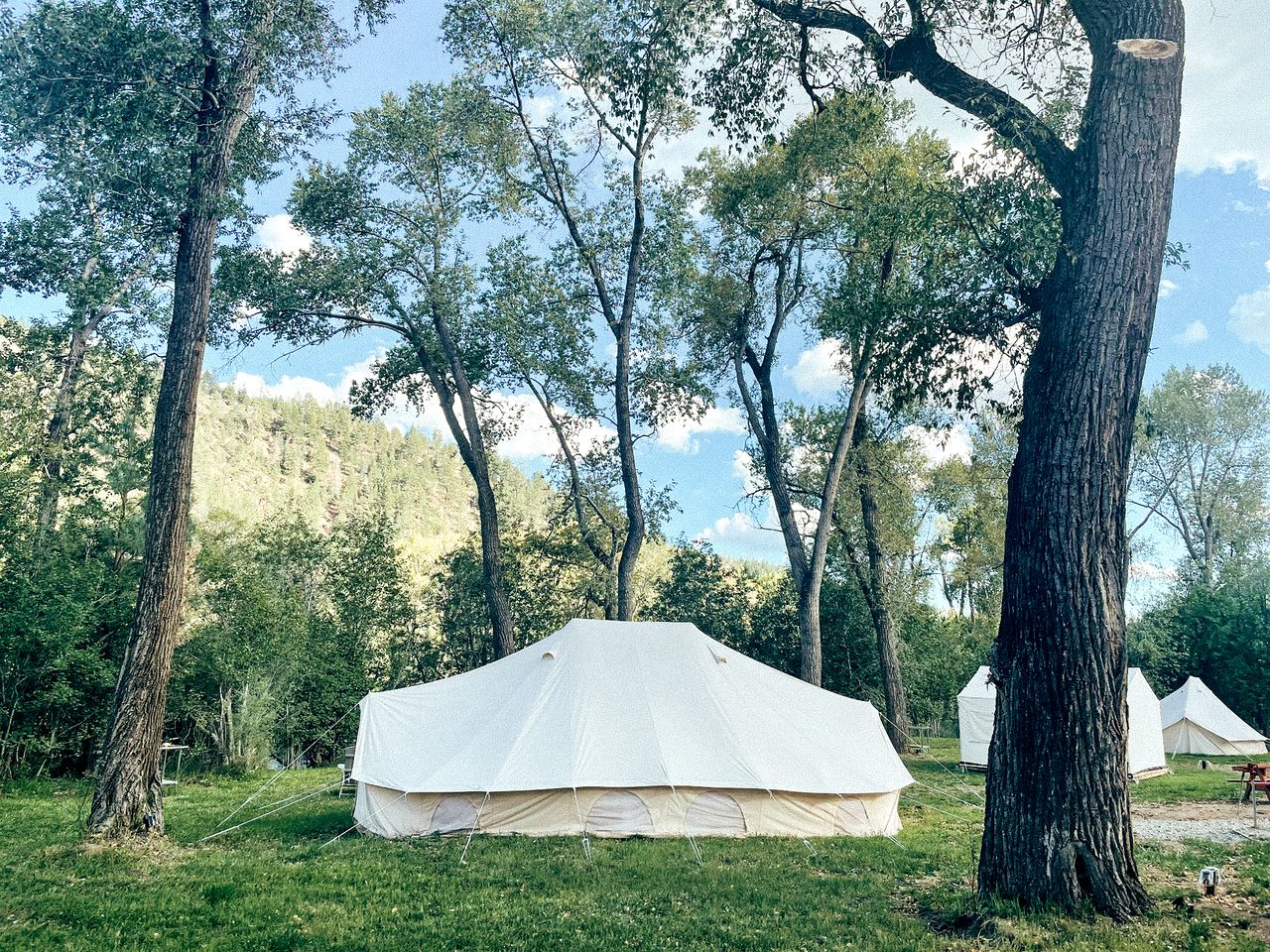 Safari Tents (United States of America, Pecos, New Mexico)