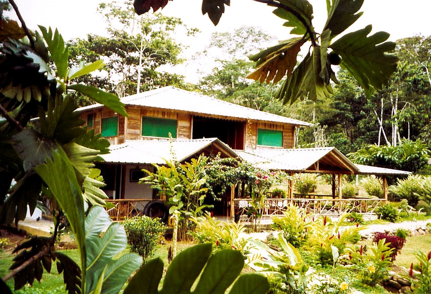 Eco-Lodge with Rooms for Rent Hidden Away in Ecuador's Amazon Rainforest | Huts (Ahuano, Napo, Ecuador)