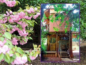 Tree Houses (Mooi River, KwaZulu-Natal, South Africa)