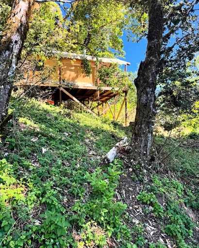 Safari Tents (United States of America, Woodside, California)