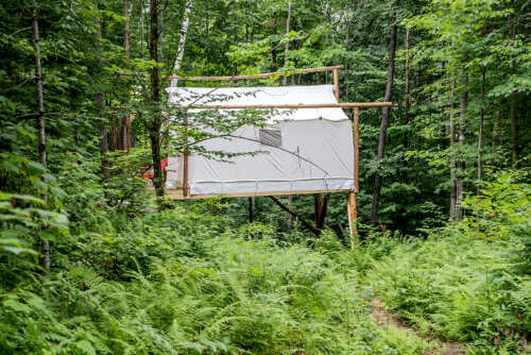 Safari Tents (United States of America, Chatham, New Hampshire)
