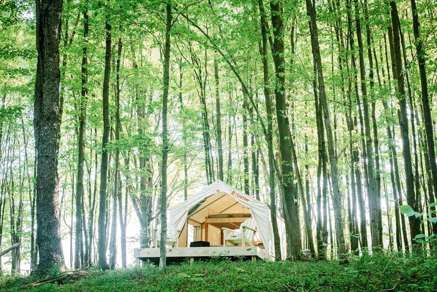 Tented Cabins (Waymart, Pennsylvania, United States)