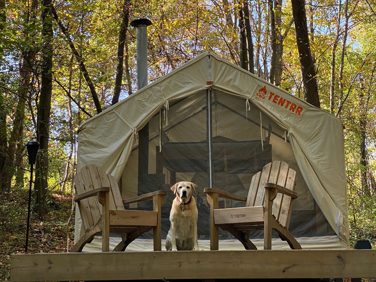 Tent rental for weekend getaways from NYC