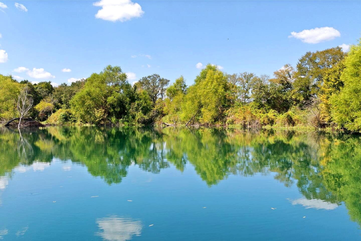 Whimsical Lakefront Tiny Home with Hand-Drawn Doodle Design Near Bastrop, Texas