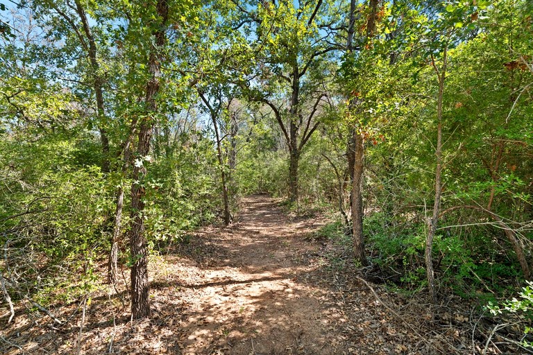 Tiny Houses (United States of America, Bastrop , Texas)