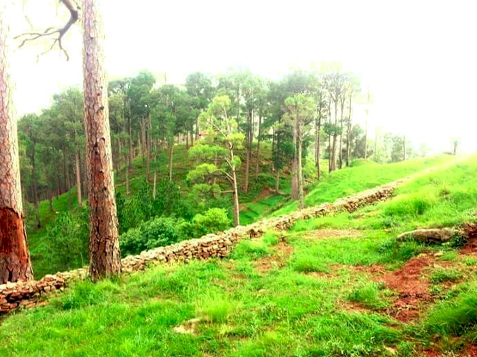 Bell Tents (Murree, Punjab, Pakistan)