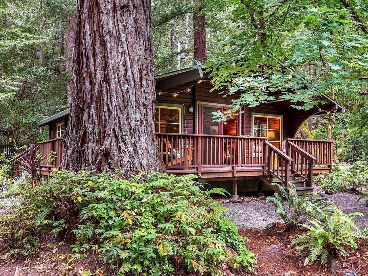 Sonoma County Romantic Getaways in this Creekside Cabin in the Redwood Forest