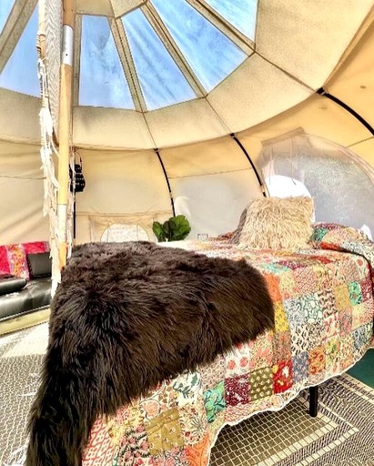 Airstreams (United States of America, Rogersville, Alabama)