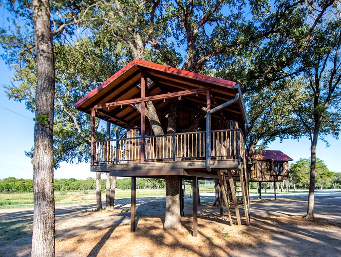 Tree Houses (United States of America, Elm Mott, Texas)