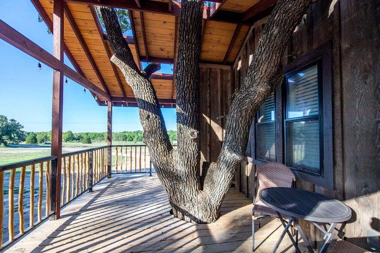 Tree Houses (United States of America, Elm Mott, Texas)