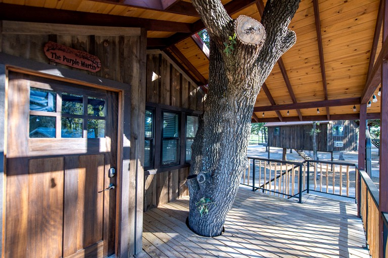 Tree Houses (United States of America, Elm Mott, Texas)
